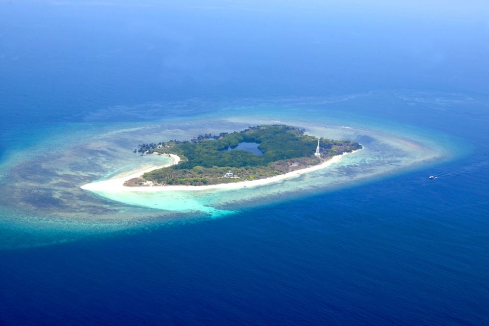 Philippines' Apo Reef Natural Park 