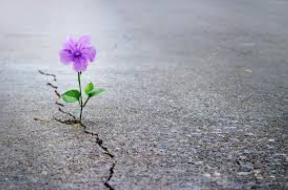 Positivity Amidst Trials 