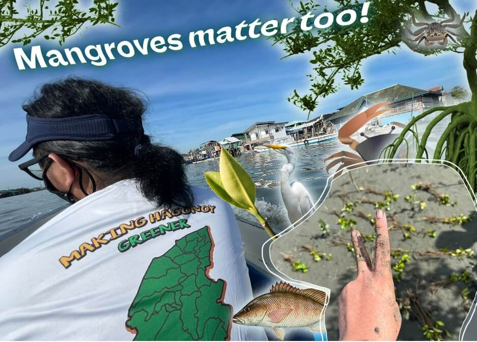 Mangrove Hagonoy Bulacan Mangrove Hagonoy Bulacan
